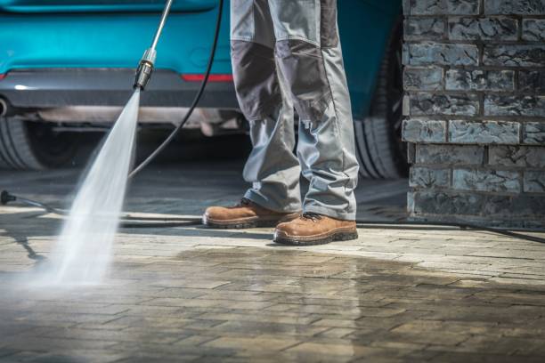 Best Roof Cleaning and Mildew Removal in Arnold, MO